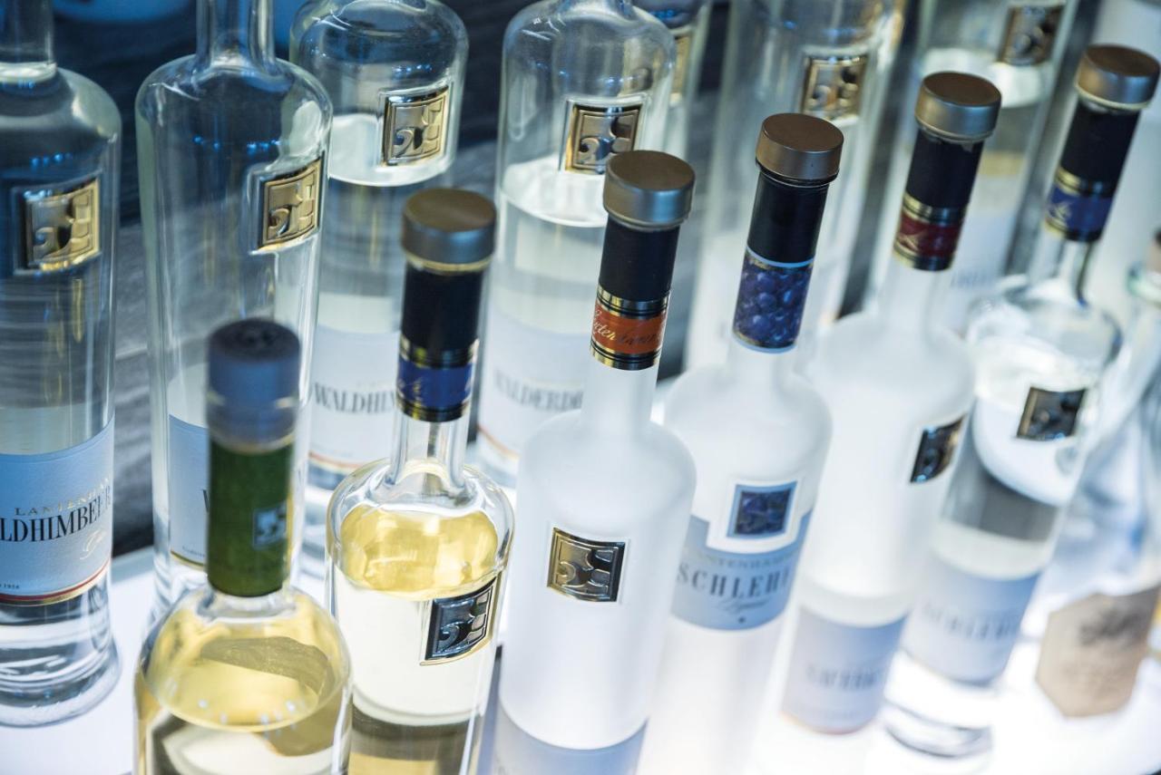 荷利根斯塔特酒店 Gießen 外观 照片